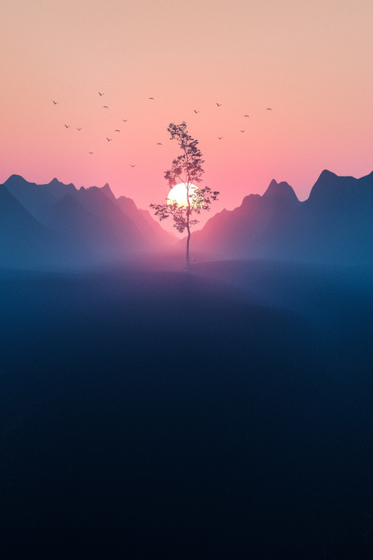 hypnose-zen-portrait-conscience-cabinet-sherpa Hypnose pour mieux être